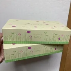 Nature コンパクトボックスティッシュ 2個セット