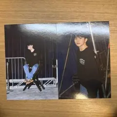 ウジ ポストカード