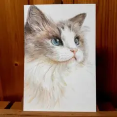 Item thumbnail for item a28dae59-428a-44b9-b4d6-b6b8abd37dd1