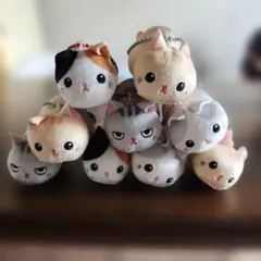 ツチネコ ぷちぐるみ コンプリート マスコット ねこ【プライズ版