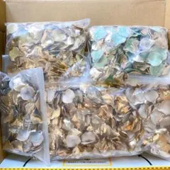 【再入荷なし】総額8万円以上！商品入れ替えの為まとめ売り♡花びらパーツ