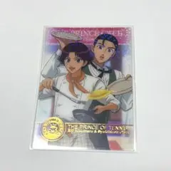 菊丸＆大石 シャイニングクリアカード SPレア テニスの王子様