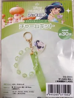ディズニー アラジン ジャスミン ディズニープリンセス チャームキット