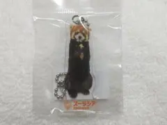 ヒナギク　アクリルキーホルダー　ズーラシア レッサーパンダのサムネイル