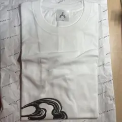 classic of windows tシャツ　彼岸花