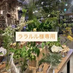 ララルル様専用