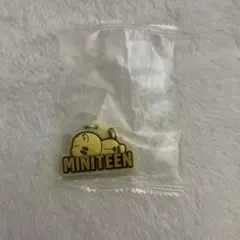 SEVENTEEN MINITEEN ミニティーン　 ホシ