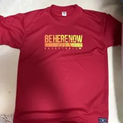 Item thumbnail for item 5f2f2913-9fc4-48fd-980b-c238a3110f2d