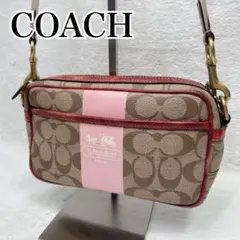 COACH Mini Boston Rowan Bag Charm PVC - メルカリ