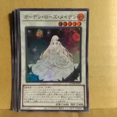 ガーデン・ローズ・メイデン シク シークレット QCDB ガーデンローズ