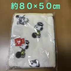 スヌーピー ファミリーキャラクター スナップボタン付きブランケット／ 膝掛け