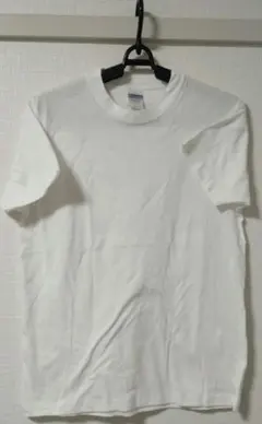 Item thumbnail for item a34a0a1e-ce06-46fd-a81c-9e95a08e194b