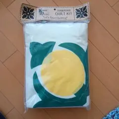 Item thumbnail for item f8aacc2c-1567-4019-b807-3dc887a12355