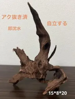 ゆうゆ様 リクエスト 2点 まとめ商品