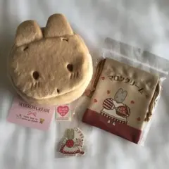 Item thumbnail for item 5713e843-93d0-4116-a255-5575d4ffa653