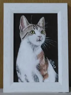 猫 手描きアクリル画 原画一点物（フレーム付き）