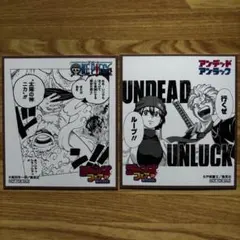 ジャンプフェア2025 アニメイト特典 ミニ色紙 ワンピース　アンデラ