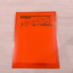 未開封新品 HOSHI×WOOZI WARNING CITYチケットポーチ 光州