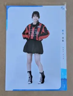 日焼けパンダ様 リクエスト 2点 まとめ商品