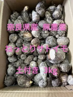 【無農薬】土付き里芋　3kg ねっとり系　サトイモ　奈良県産