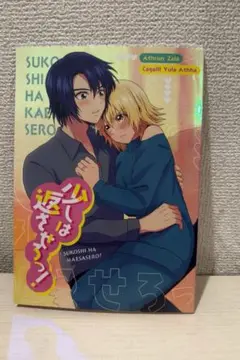 【匿名配送/まとめ買い可】アスカガ ガンダムSEED 同人誌 アスラン カガリ❹