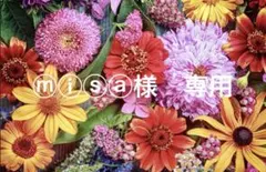 ⓜⓘⓢⓐ様　専用