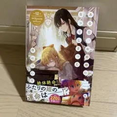 ある日、お姫様になってしまった件について 12巻