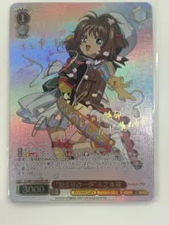 ssp ヴァイスシュヴァルツ