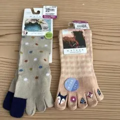 Item thumbnail for item 2c6f0734-d001-4d9c-bf63-566c4208bc29