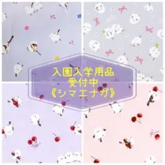 入園 入学 ☆レッスンバッグ　オーダー　女の子《動物　シマエナガ　雪の妖精》