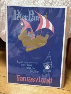 ディズニーストア ピーターパン 70周年 写真立て - メルカリ