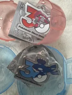 ポケモン30周年 メタルチャームマスコット グラードン2個 - メルカリ