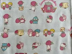 ❤️✳︎サンリオキャラクターズ・生地はぎれ・約55×50㎝・新品未使用