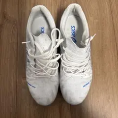 Item thumbnail for item 4d45df88-646a-46f5-8ec0-221f406d02bb