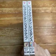 ビッグ・マウンテン　　未開封アルバム２枚セット