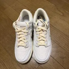 Nike Dunk Low Retro QS 