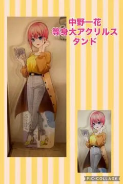 2026年最新】五等分の花嫁 等身大パネルの人気アイテム - メルカリ