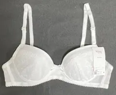 Item thumbnail for item 3f694360-1a3b-4d3d-90c5-f5500cf7f623