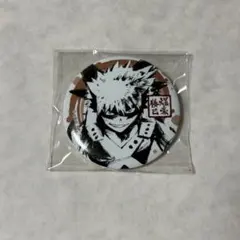 僕のヒーローアカデミア ヒロアカ オープンスクール 缶バッジ カップ
