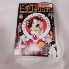ビッグオリジナル 2026年9月5日号 定価　510円