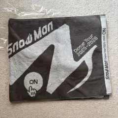 2026年最新】ドームツアータオルの人気アイテム - メルカリ