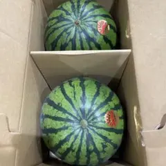 427千葉県産まるあさ大玉スイカ良品4Lサイズ1箱2玉入り - メルカリ