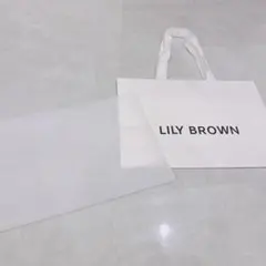 Item thumbnail for item b09640ea-dda0-4972-a23d-b93b3e146c28