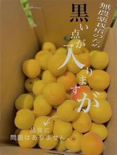 無農薬栽培 梅 69 GREEN JUNCTION 南高梅3㎏ 和歌山県産 - メルカリ