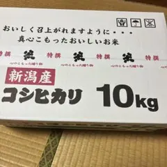 令和8年度福井県勝山市産 コシヒカリ玄米10kg送料込み - メルカリ