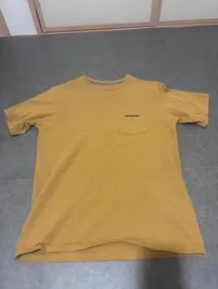 patagonia ポケット付きTシャツ マスタード
