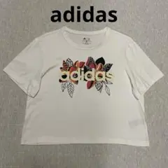 adidas フラワーグラフィック Tシャツ クロップド丈