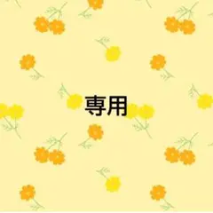 専用