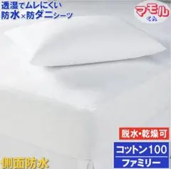 Item thumbnail for item bafacf37-1597-42fc-805a-ae90afb893b9