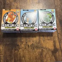 ポケモンキッズ30周年スペシャル　初代御三家　3種セット